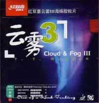 DHS Cloud&Fog 3