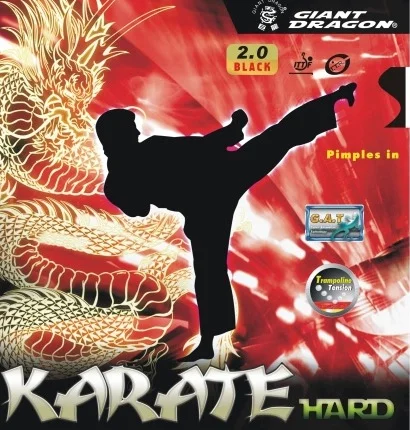 Giant Dragon Karate Hard